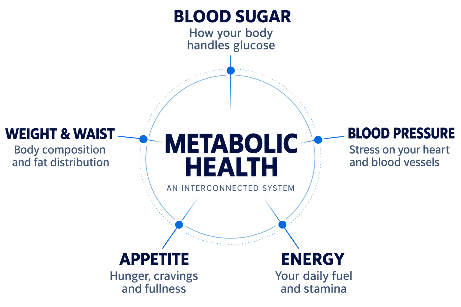 Metabolic health factors: blood sugar, weight, appetite, energy and blood pressure.