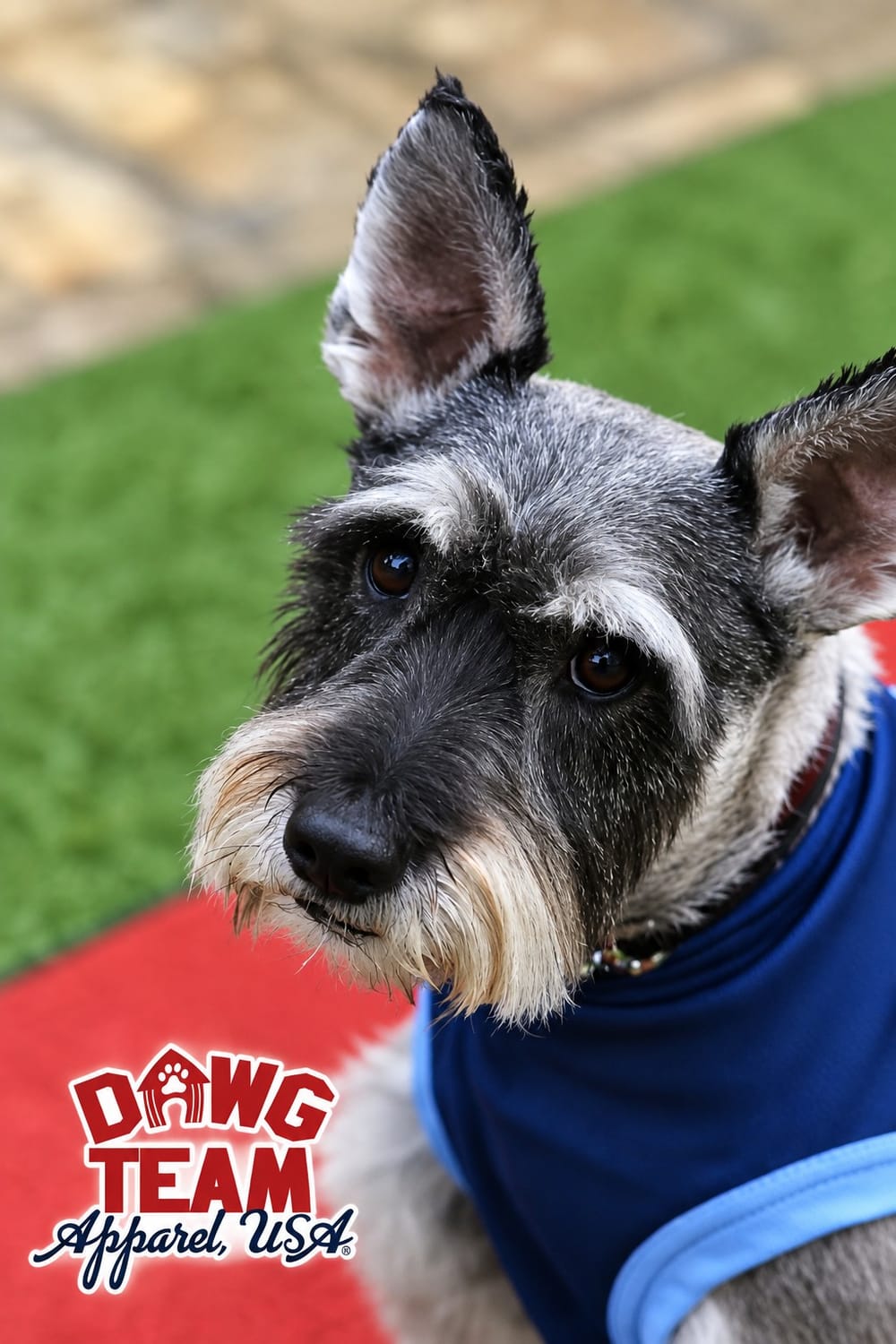MOBILE DOG GROOMING