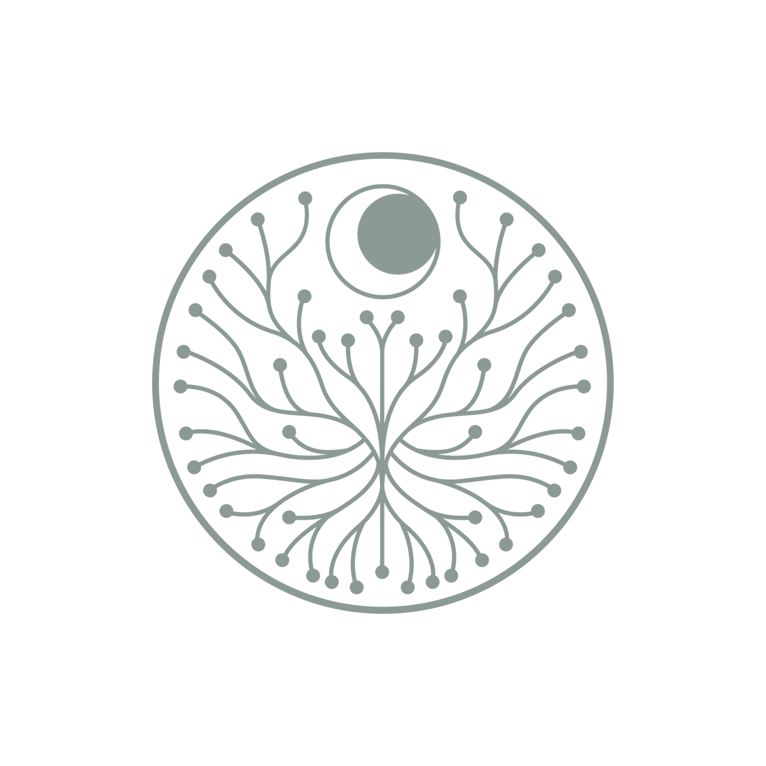Logo Neuro Systemische Regulation