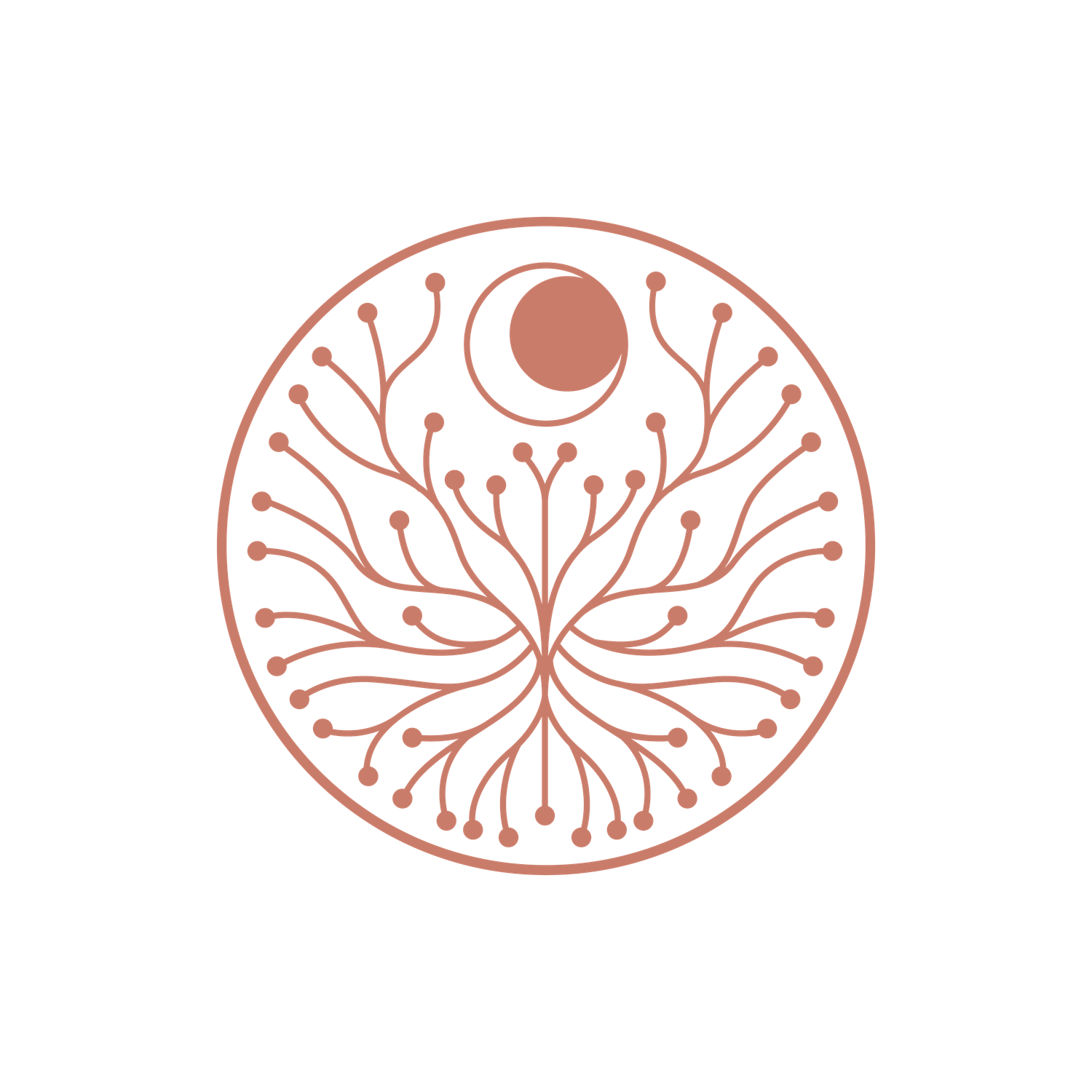 Logo Neuro Systemische Regulation