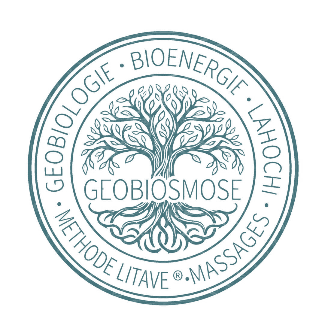 Geobiosmose — Flavia Dessignori, géobiologue