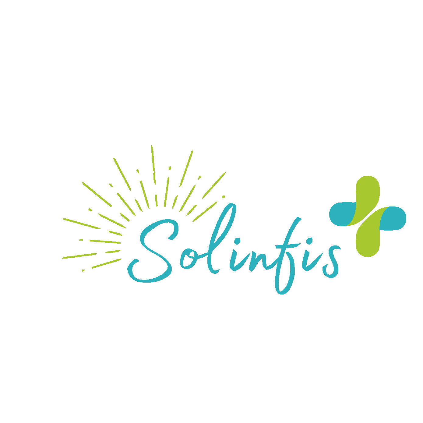 Solinfis