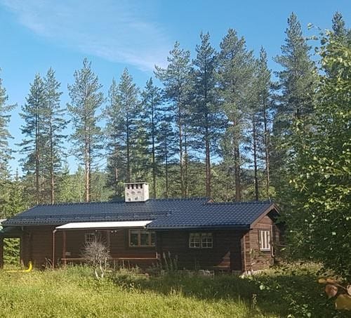 Blåbärsstugan in summer, surrounded by pine trees