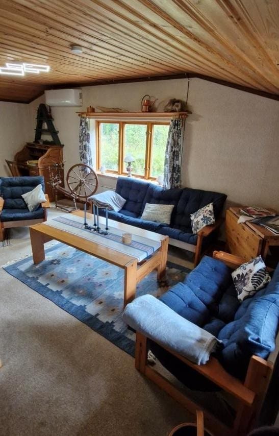 Living room with blue sofas