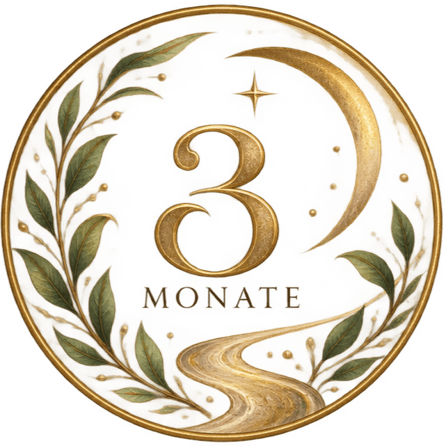 3-Monats-Begleitung