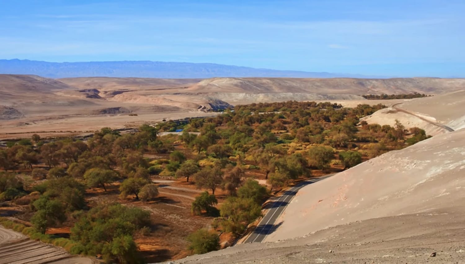 Vista panorámica del oasis de Quillagua en la Región de Antofagasta