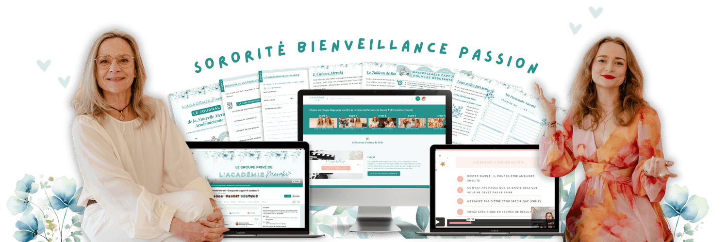 Aperçu de l'Académie Meraki