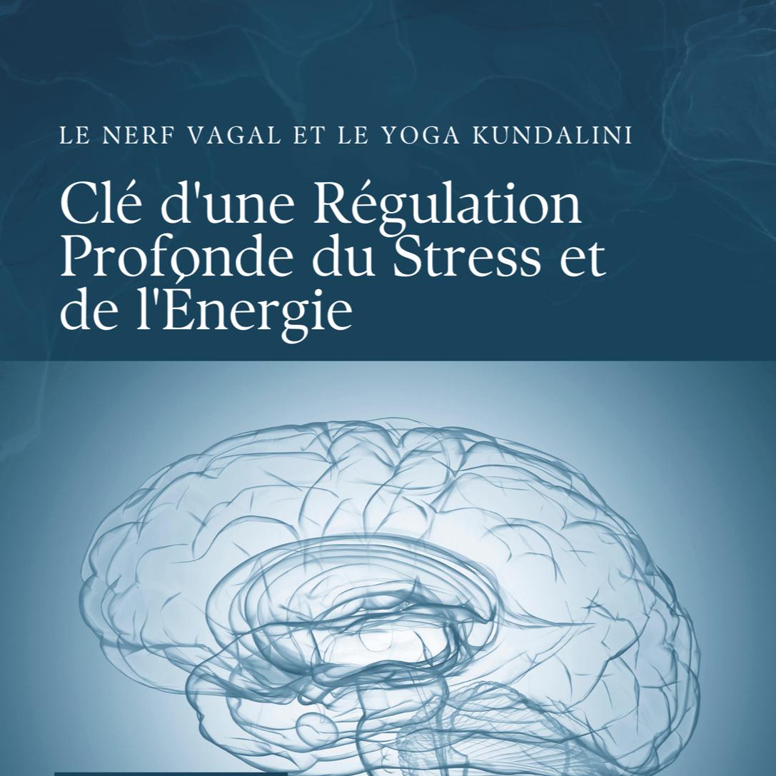 Ebook "La clé pour une régulation profonde du stress et de l'énergie