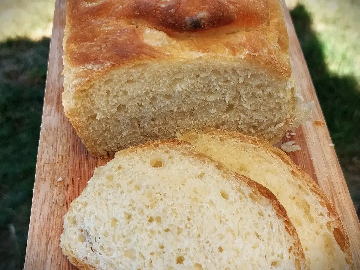 Pan de molde de masa madre