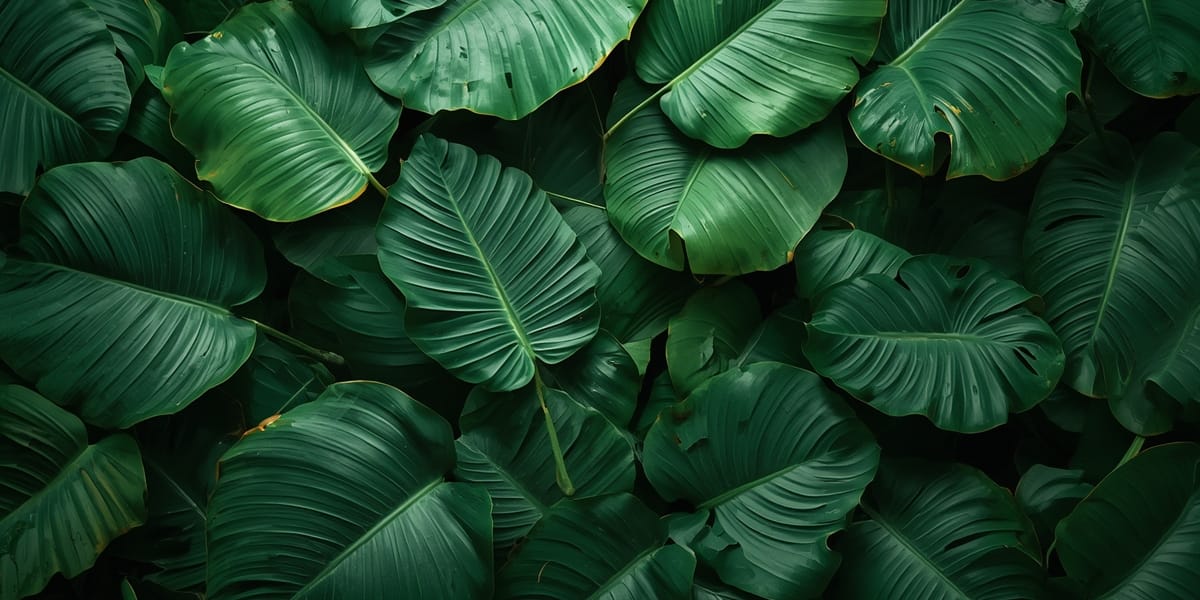 Thailand travel journal tropical leaves