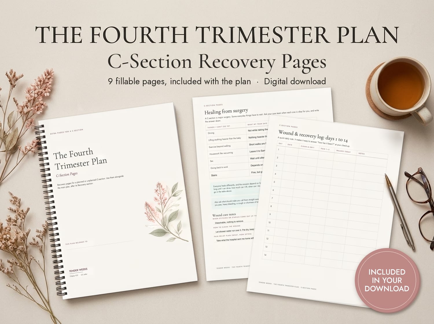 The C-Section Pages, showing the healing-from-surgery page filled in and the wound and recovery log