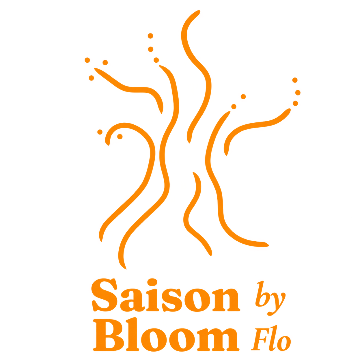 Logo transparent