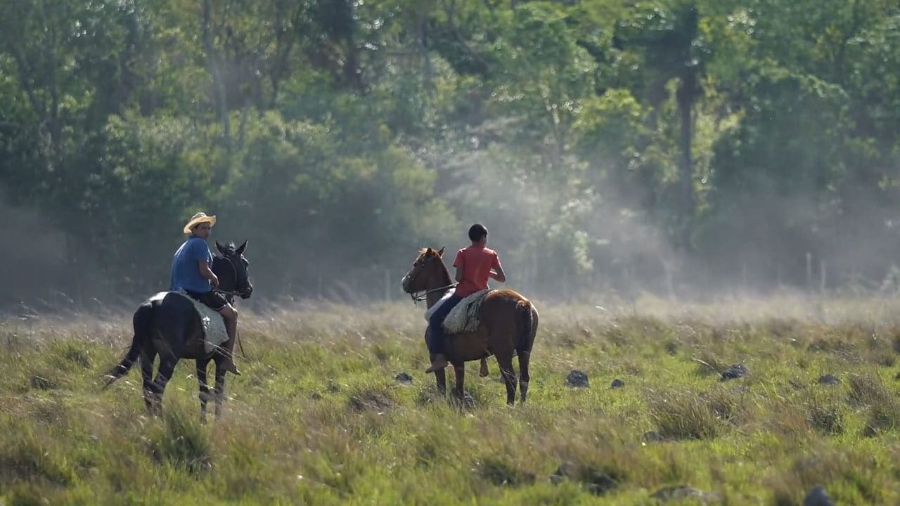 Miller Forest Investment AG – Imagefilm