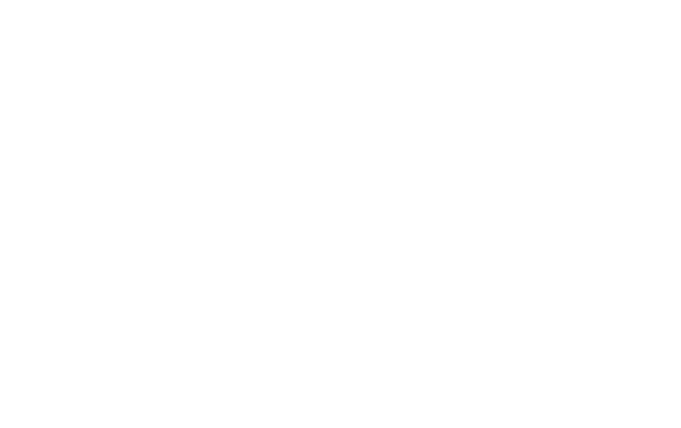 Auslandsjournal