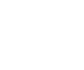 Wagner Pizza