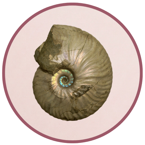 Anesnu | Cristaloterapia