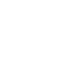 Brin de plante avec feuilles blanches