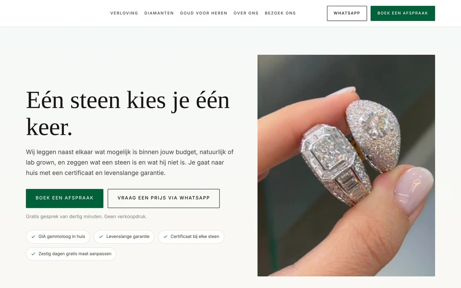 A website concept we designed for a jeweller. The client name and logo are hidden.
