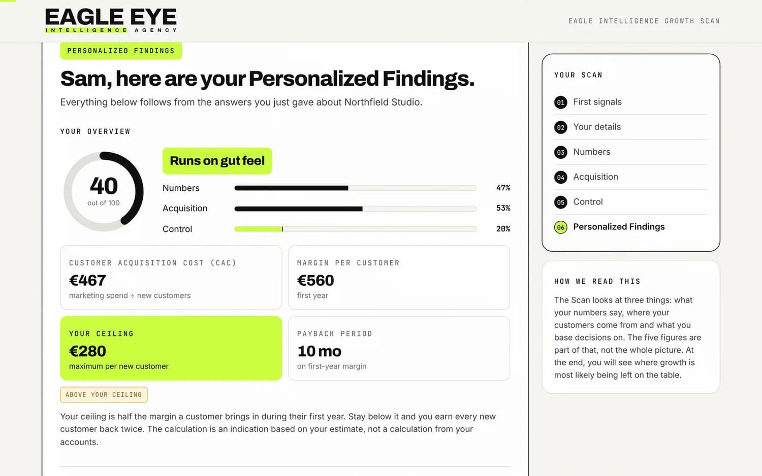 The Personalized Findings of the Eagle Intelligence Growth Scan, filled in with sample answers.