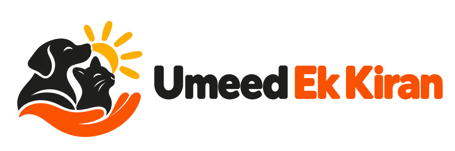 Umeed Ek Kiran