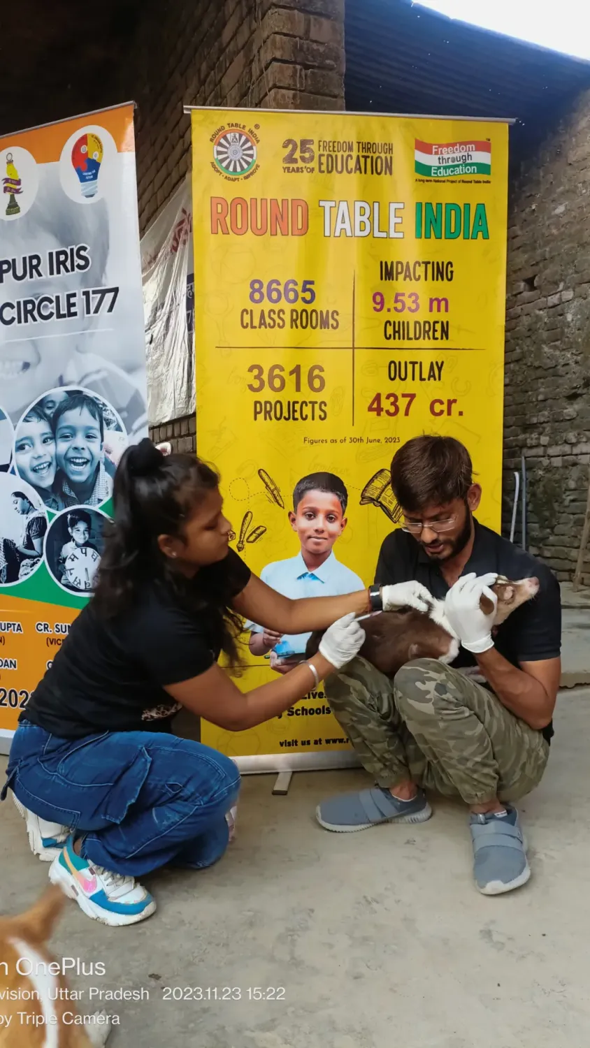 Umeed Ek Kiran team members caring for a dog