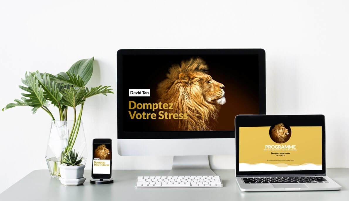 Screens de la formation