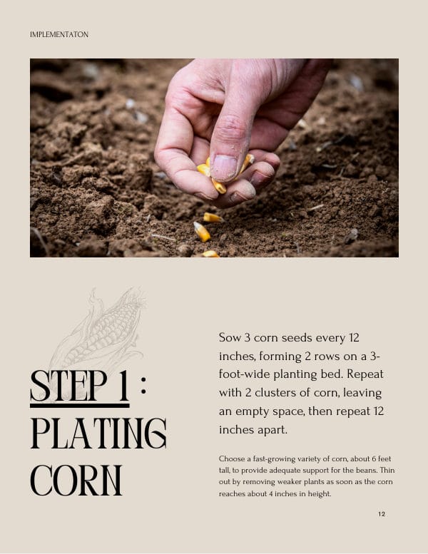 Guide page: Step 1, planting corn, with a photo of a hand sowing corn seeds