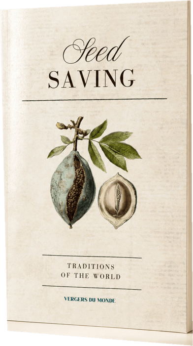 Seed Saving Traditions Around the World
