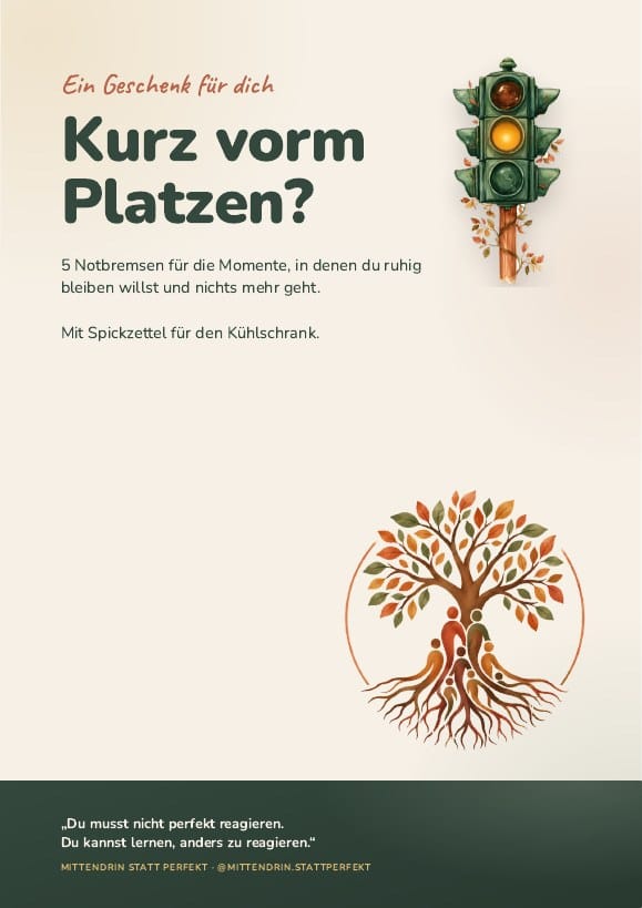 Titelseite des Hefts: Kurz vorm Platzen? 5 Notbremsen