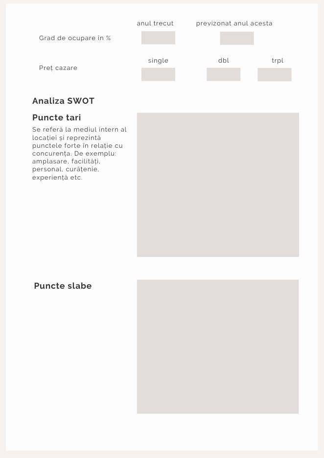 Pagina Analiza SWOT din workbook