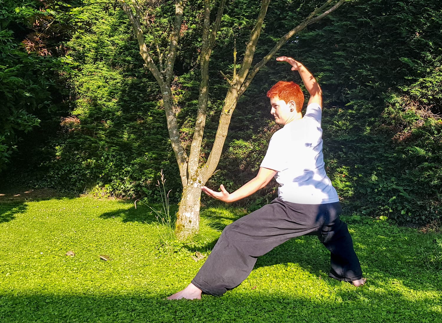 Mouvement conscient — pratique du Dojo
