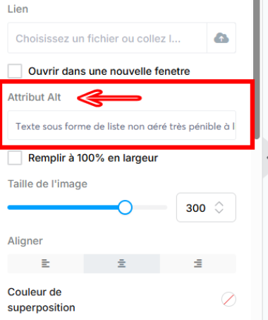 Visuel de l'emplacement ALT sur l'éditeur du blog sur Système.io