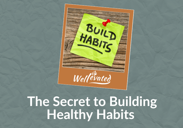 The Secret to Building Healthy Habits