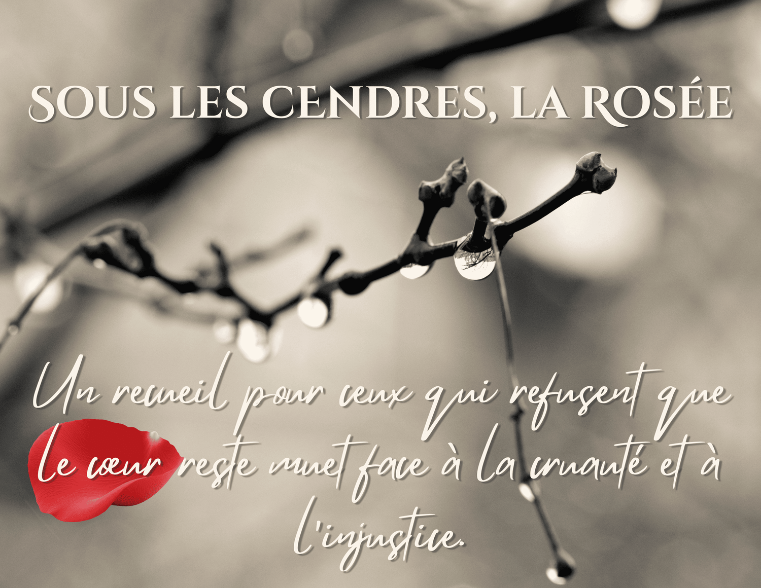 “Sous les cendres, la Rosée — recueil de poésie engagée sur Gaza et l’éveil de conscience”