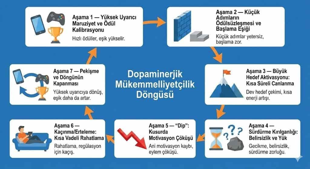 Dopaminerjik Mükemmelliyetçilik Döngüsü Makalesi