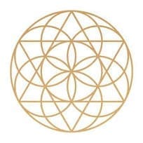 Solex Shopping Link.