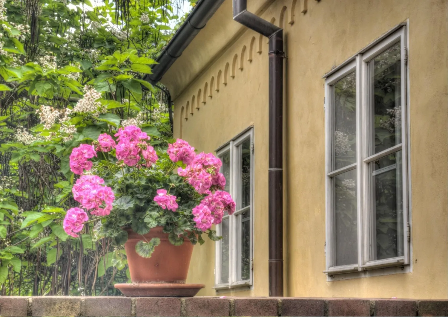 	Fleurissement de façade et entretien de plantes d'ornement