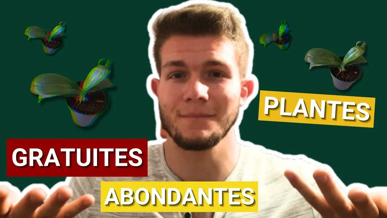 Bouturage et multiplication de plantes gratuites