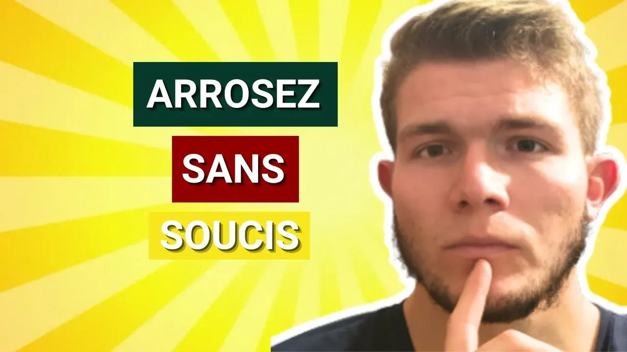 Astuces pour arroser ses plantes pendant les vacances
