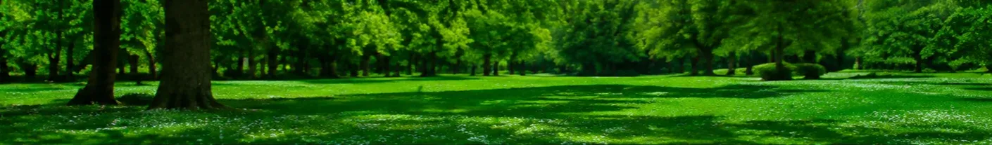 Aménagement paysager et création de jardin durable en Île-de-France