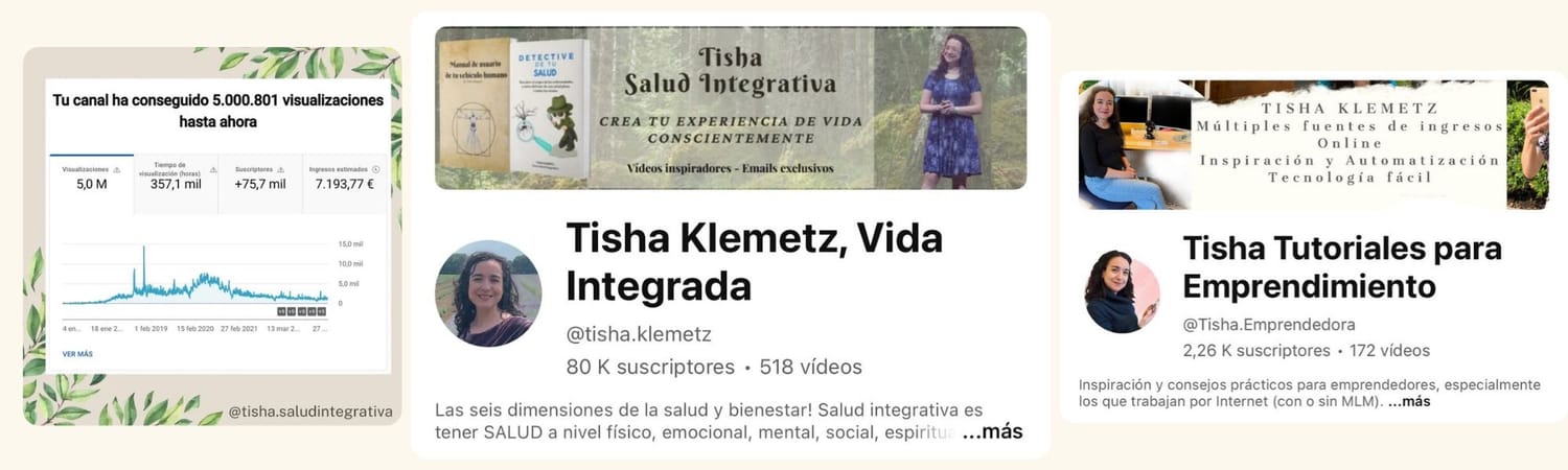 Screenshots and stats of Tisha Klemetz's YouTube channels