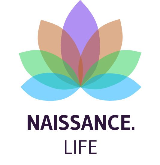 Générateur de projet de naissance gratuit
