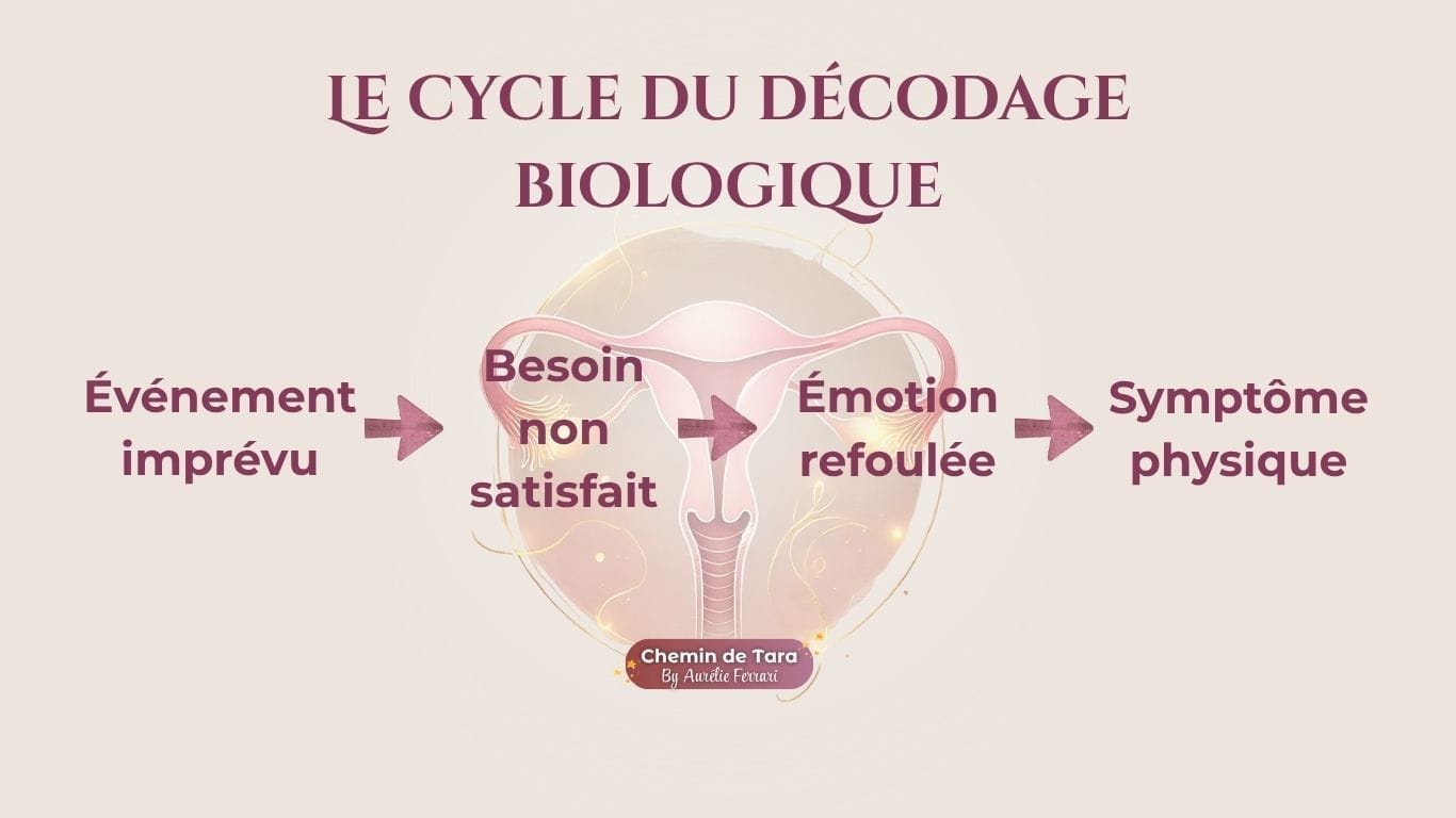 Infographie douce et féminine intitulée « Les différentes formes d’endométriose », présentant un schéma stylisé du bassin féminin en fond beige rosé. Le visuel liste quatre types : endométriose superficielle (ou péritonéale), endométriose ovarienne, endométriose profonde.