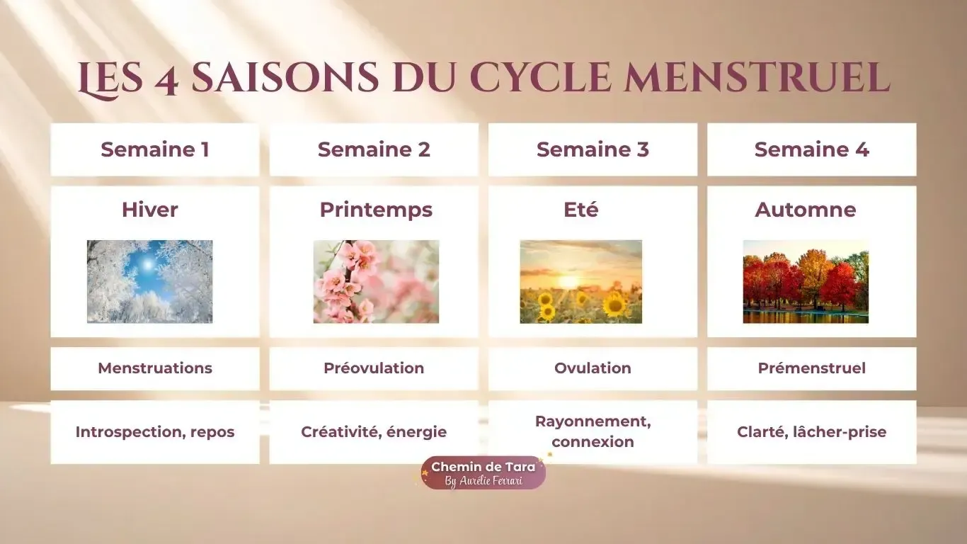 Infographie expliquant les 4 saisons du cycle menstruel : hiver (phase menstruelle, introspection), printemps (phase préovulatoire, créativité), été (phase ovulatoire, rayonnement), automne (phase prémenstruelle, retour à soi). Créée par Chemin de Tara.