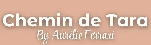 Chemin de Tara, logo, chemin, étoile, Aurélie Ferrai, Herouville Saint Clair, Caen, France