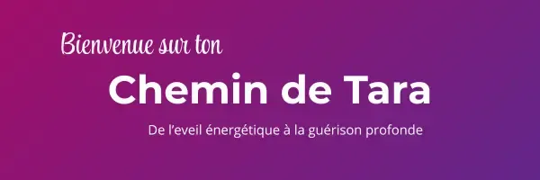Header link in bio bienvenue sur ton chemin de Tara