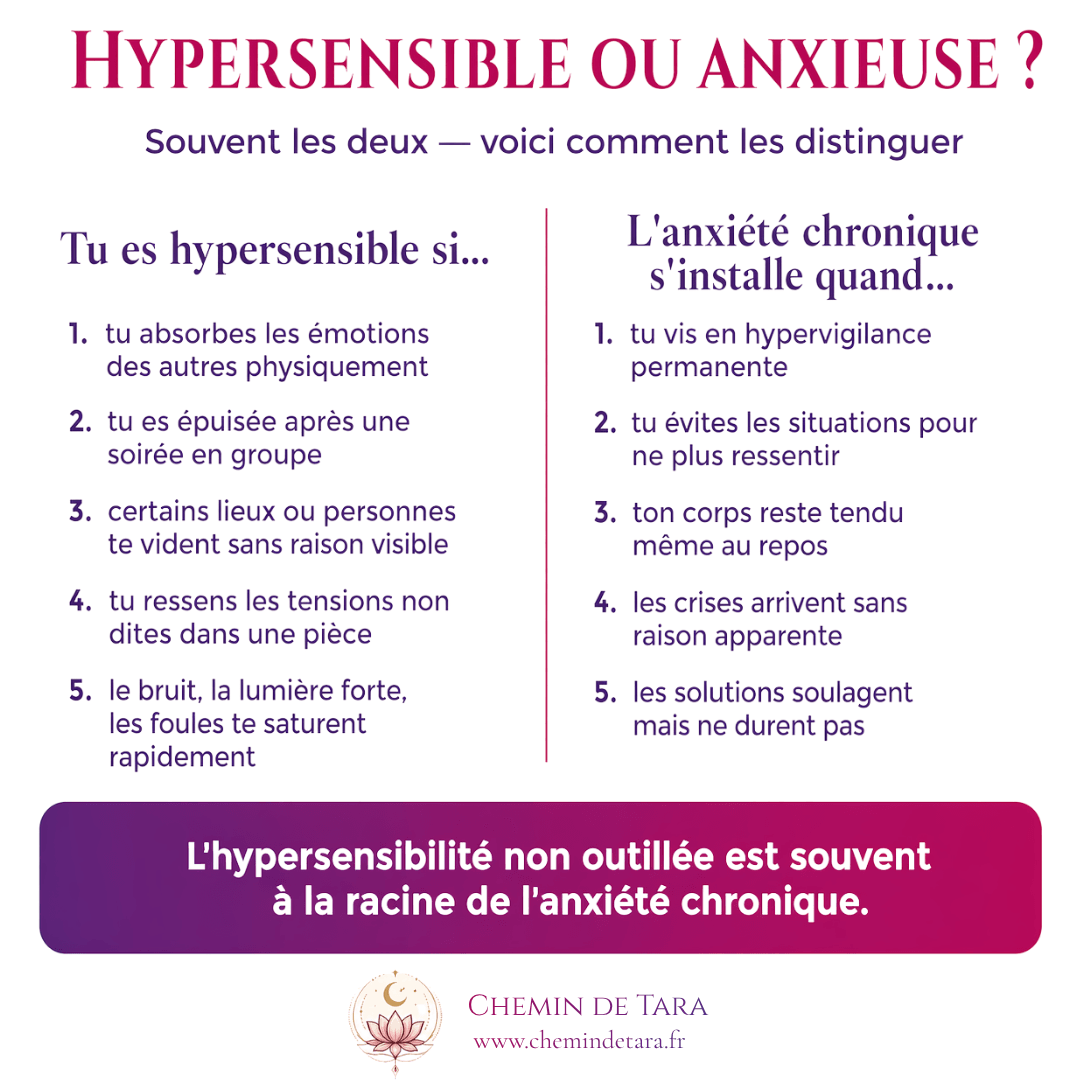 Infographie : hypersensible ou anxieuse ? Les signes distinctifs pour comprendre son vécu émotionnel — Aurélie Ferrari, Chemin de Tara, psychopraticienne EFT Normandie
