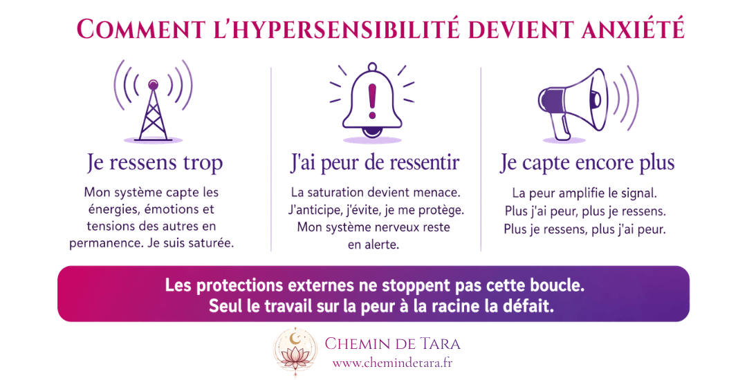 Infographie : comment l'hypersensibilité alimente la boucle anxieuse — schéma peur et saturation sensorielle par Aurélie Ferrari, thérapeute EFT Normandie