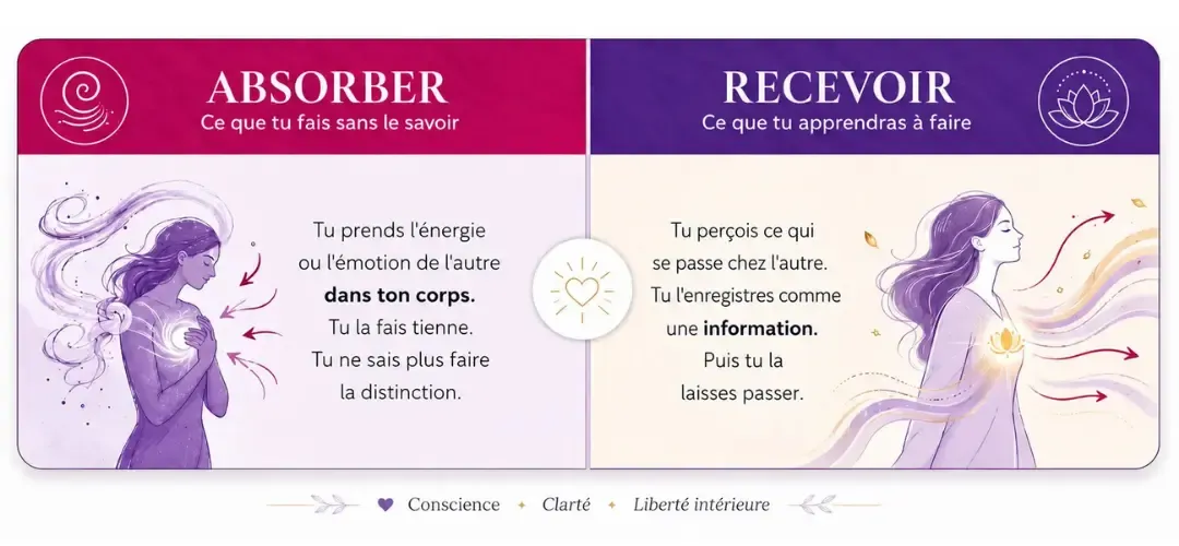 les différence entre absorber les énergies et les recevoir.