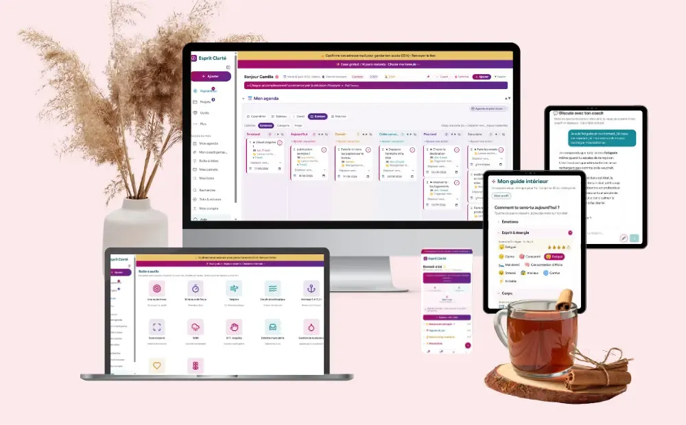 Esprit Clarté sur ordinateur, tablette et téléphone, synchronisé